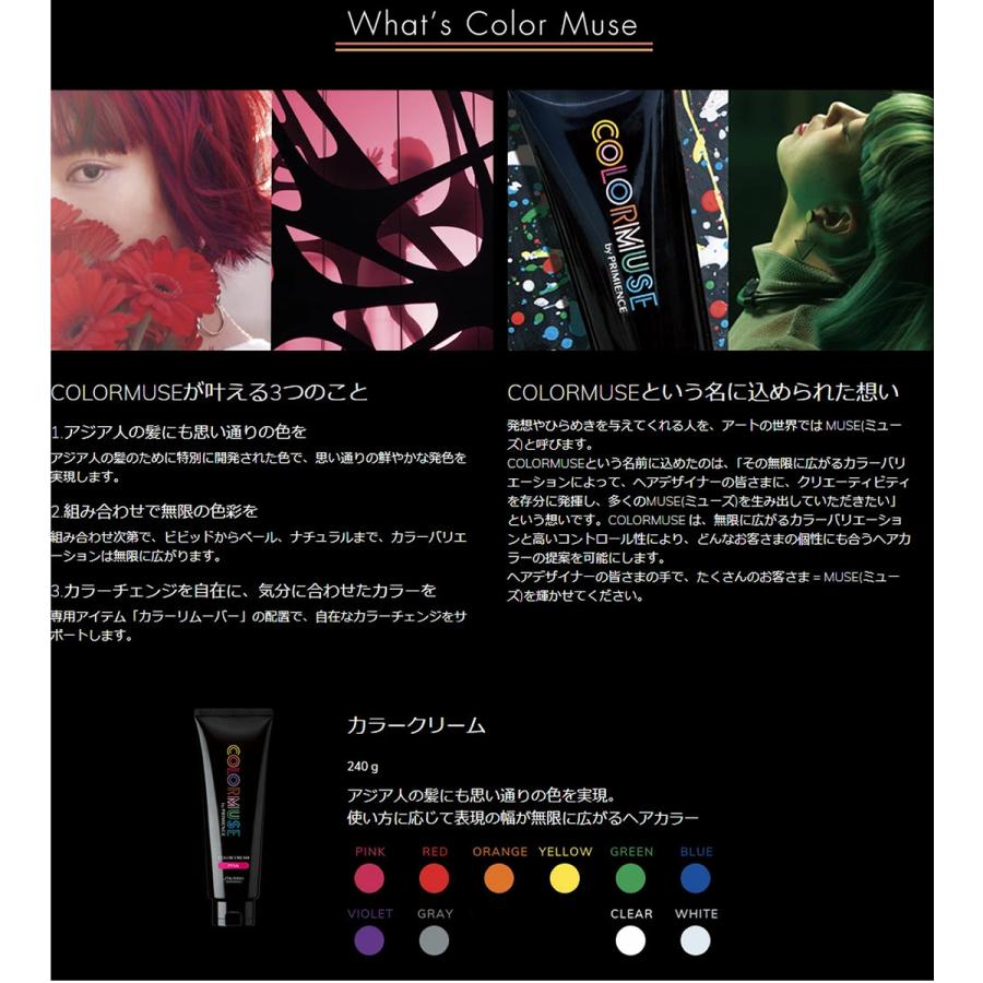 SHISEIDO PROFESSIONAL（資生堂プロフェッショナル） 資生堂 カラー