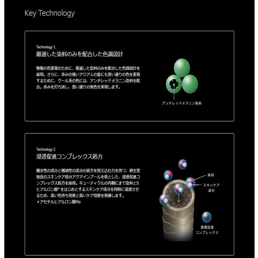 SHISEIDO PROFESSIONAL（資生堂プロフェッショナル） 資生堂 カラー