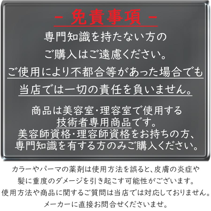 SHISEIDO PROFESSIONAL（資生堂プロフェッショナル） 資生堂 カラー