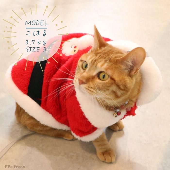 犬 猫 コスプレ クリスマス パーティー かわいい 衣装 服 冬 イベント 暖かい 高級 かわいい 防寒 フレンチサンタコート 4号・5号 0201｜pomp-ya｜05