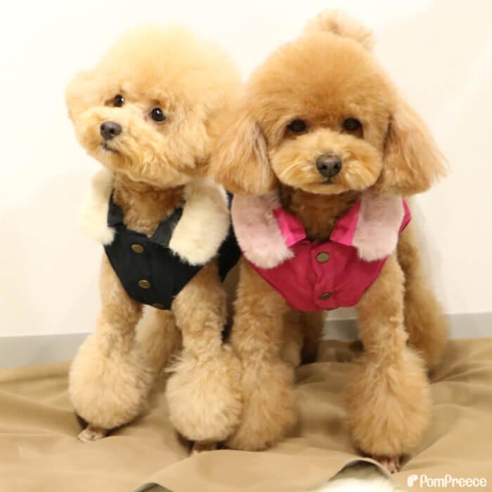 送料無料 犬 犬服 犬冬服 犬用品 服 かわいい 可愛い おしゃれ　 取り外しファー付き あったかコ ート ポンポリース 2・3号｜pomp-ya｜02