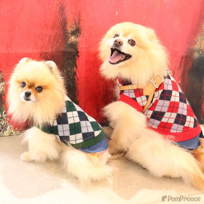 犬 小型犬 犬用 犬服 ペット ペットグッズ 犬用品 ドッグウエア  セーター ニット 重ね着風 アーガイルニット 5号 ポンポリース 0803※返品・交換不可 | PomPreece | 04