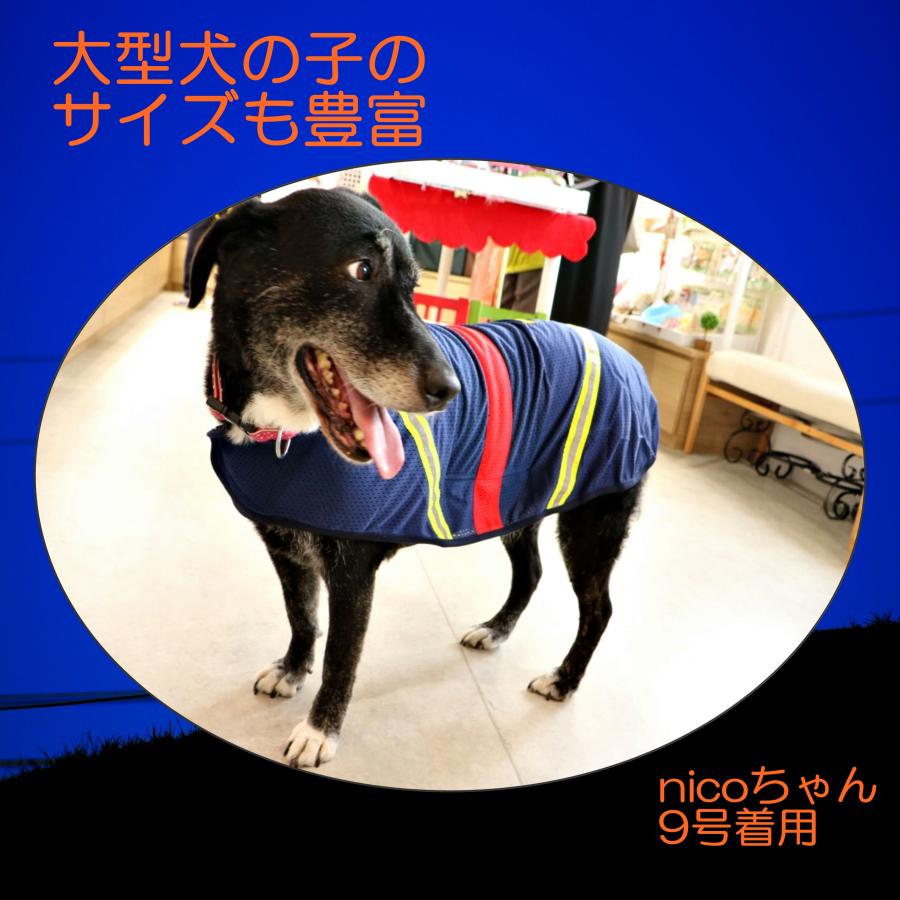 犬服 メッシュ 涼しい ドッグウェア タンクトップ メッシュタンクトップ ノースリーブ 光る 毛落ち防止 防虫コート セフティナイト 2〜10号 ポンポリース｜pomp-ya｜03