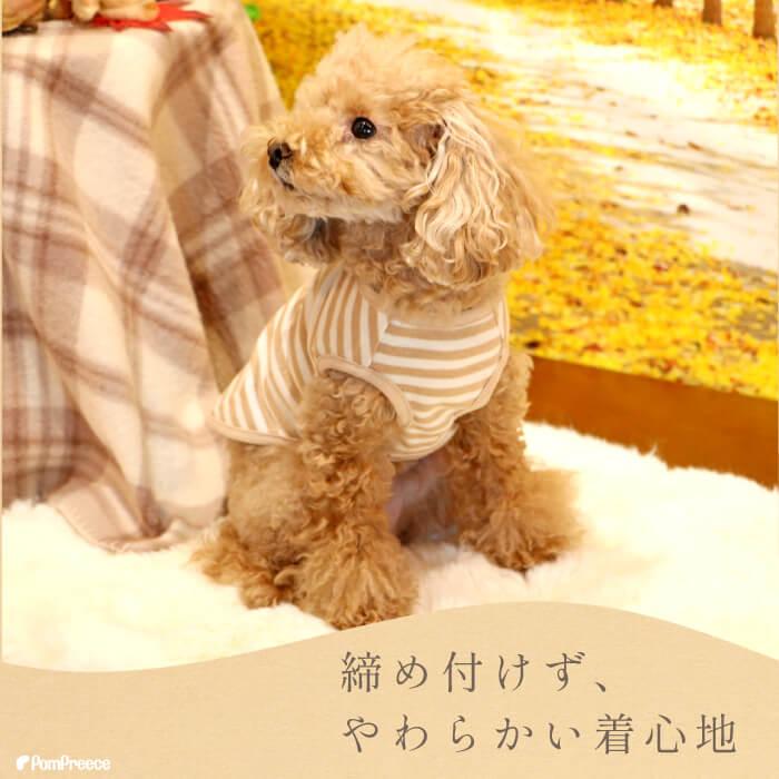 犬服 オーガニック ボーダー 柔らかい 優しい 小型犬 中型犬 大型犬 Tシャツ オーガニック Ｔシャツ シンプルボーダー 2号｜pomp-ya｜05