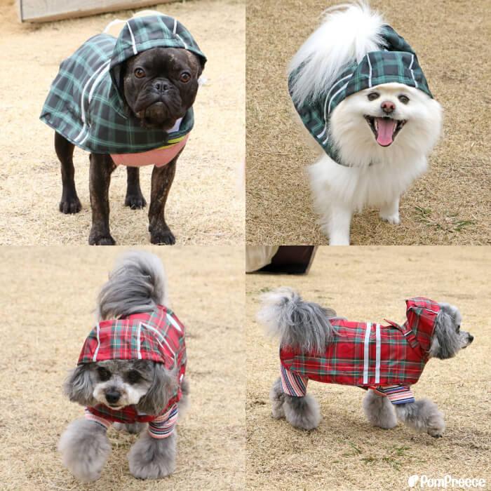 犬服・アクセサリー cpmlp6 fullofvigor-yshop_23-09284-1