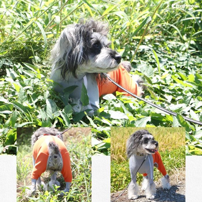 PomPreece（ポンポリース） 【在庫処分セール品】犬 犬服 雪