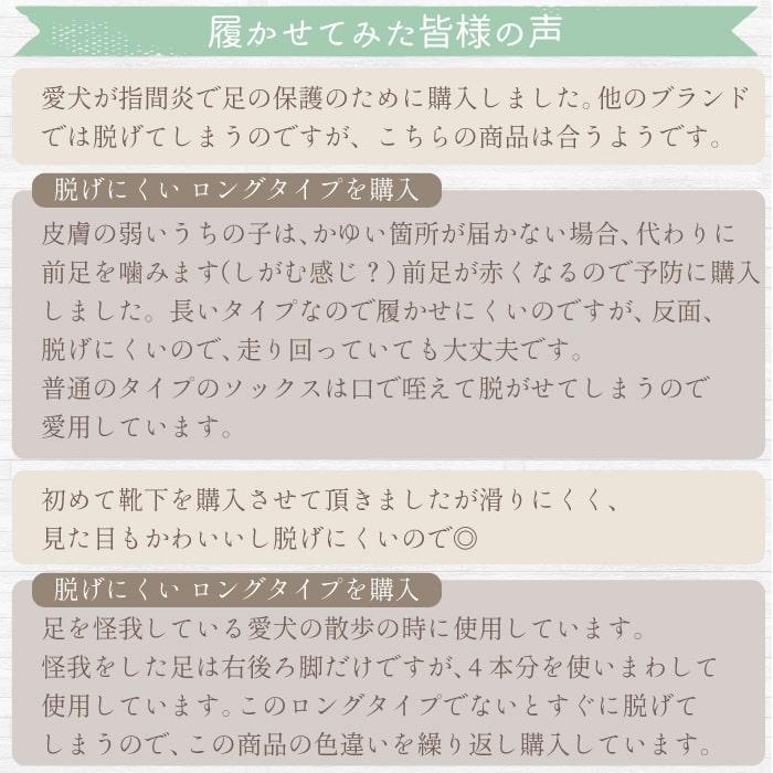 犬 靴下 防寒 肉球 保護 2足セット 大型犬 脱げない 滑らない 老犬 介護 包帯 冬 かわいい トリプルボーダー LL ポンポリース 3124｜pomp-ya｜14