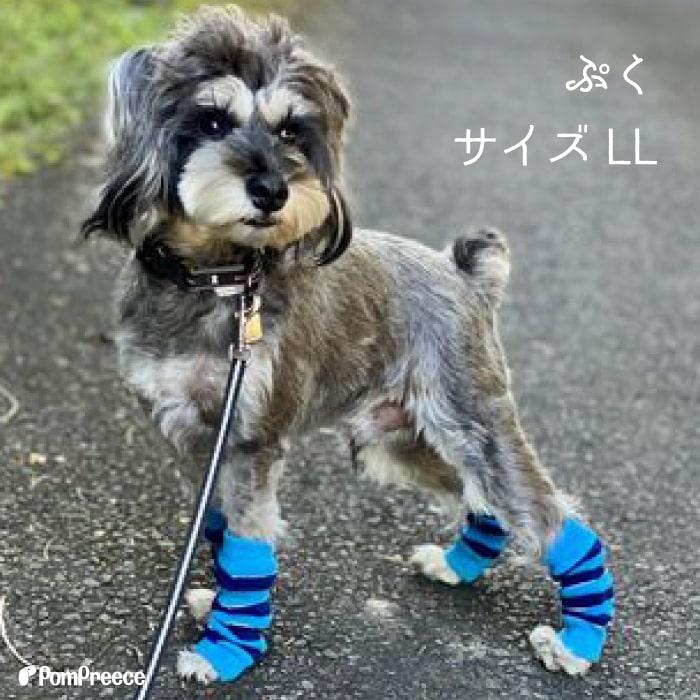 犬 靴下 レッグガード 室内 脱げにくい けが防止 汚れ防止 転倒防止 包帯 可愛い おしゃれ 4足1セット レッグガード ボーダー S・M 3169 ポンポリース | PomPreece | 05