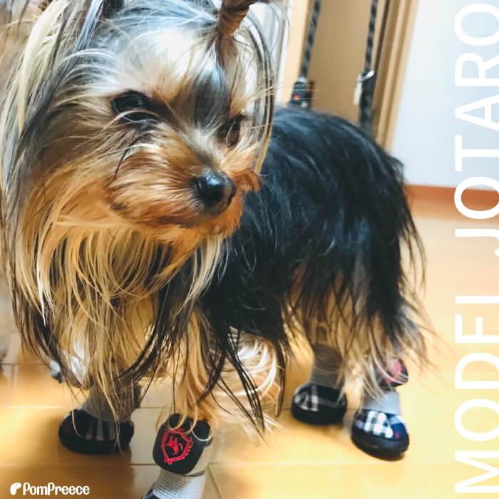 犬 靴 ドッグシューズ 靴下犬用靴 脱げない 滑り止め 怪我予防 介護 肉球 夏 火傷 足裏保護 犬用 レイン シューズ ルンルンタータン 2〜5号 ポンポリース 3175 | PomPreece | 10