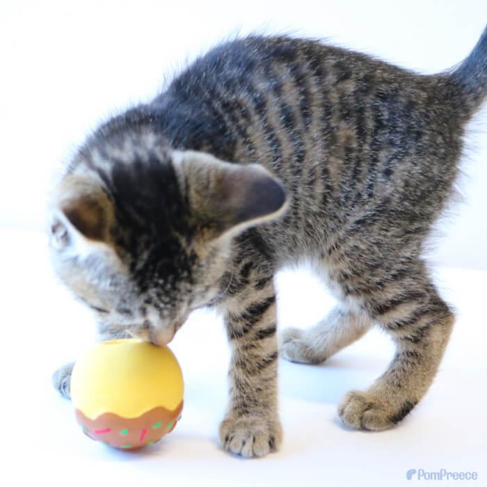 犬 猫のおもちゃ  おもちゃ 音が鳴る 玩具 小型犬 おもちゃ 猫 かわいい おもしろ インスタ映え ラテックスTOY たこ焼き ポンポリース 4008 |  | 01