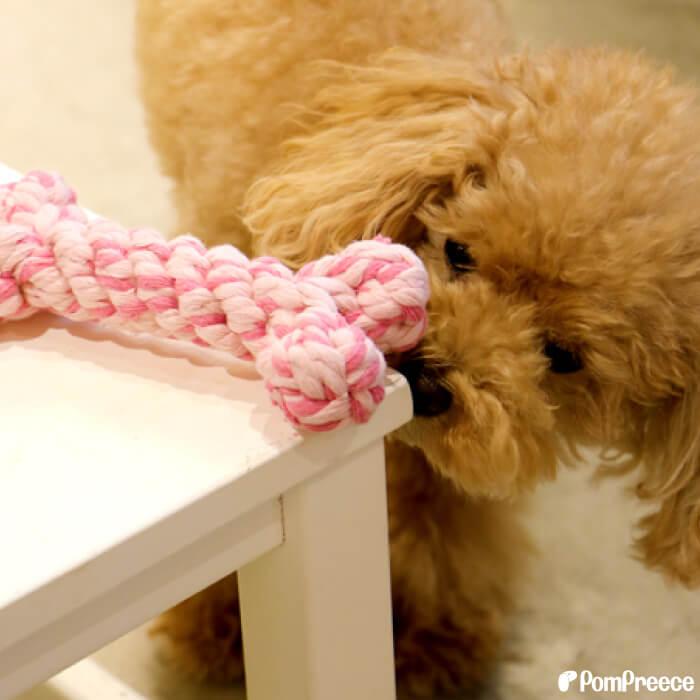 PomPreece 犬 おもちゃ 安全 噛む 力 強い ロープ 犬おもちゃ 犬用玩具 