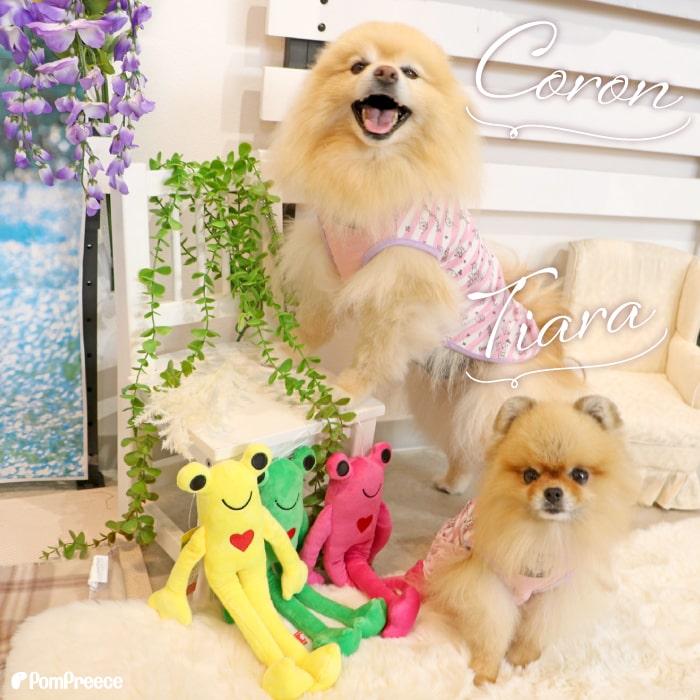 PomPreece（ポンポリース） デンタルアニマル カエル 犬 ぬいぐるみ
