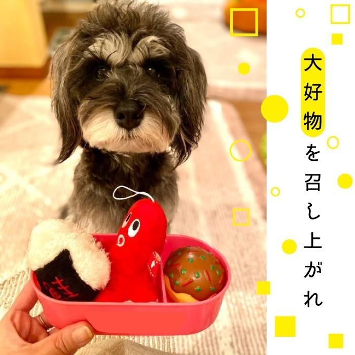 犬 猫 おもちゃ ぬいぐるみ ストレス解消 音付き 可愛い プレゼント タコ PeePeeTOY タコウィンナー 4193 ポンポリース | PomPreece | 05