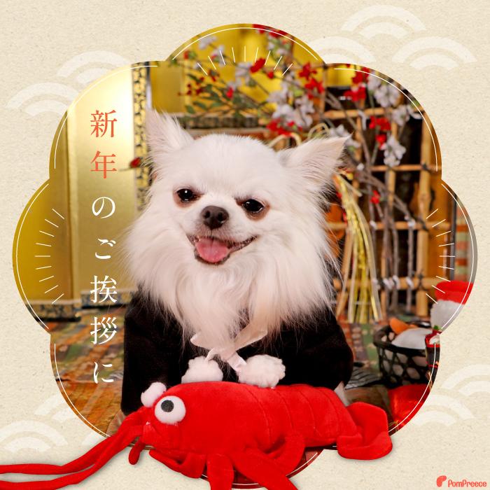 犬 猫 おもちゃ ぬいぐるみ ストレス解消 音付き 可愛い プレゼント エビ PeePeeディスプレイTOY 伊勢エビ 4117 ポンポリース | PomPreece | 06
