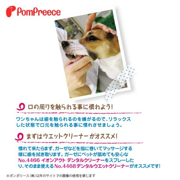 イオンアクト業務用デンタルクリーナー ポンポリース 4485 | PomPreece | 01