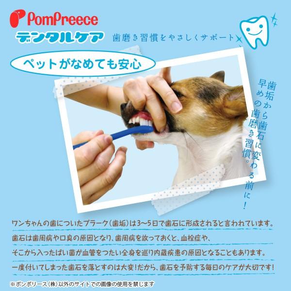 イオンアクト業務用デンタルクリーナー ポンポリース 4485 | PomPreece | 02