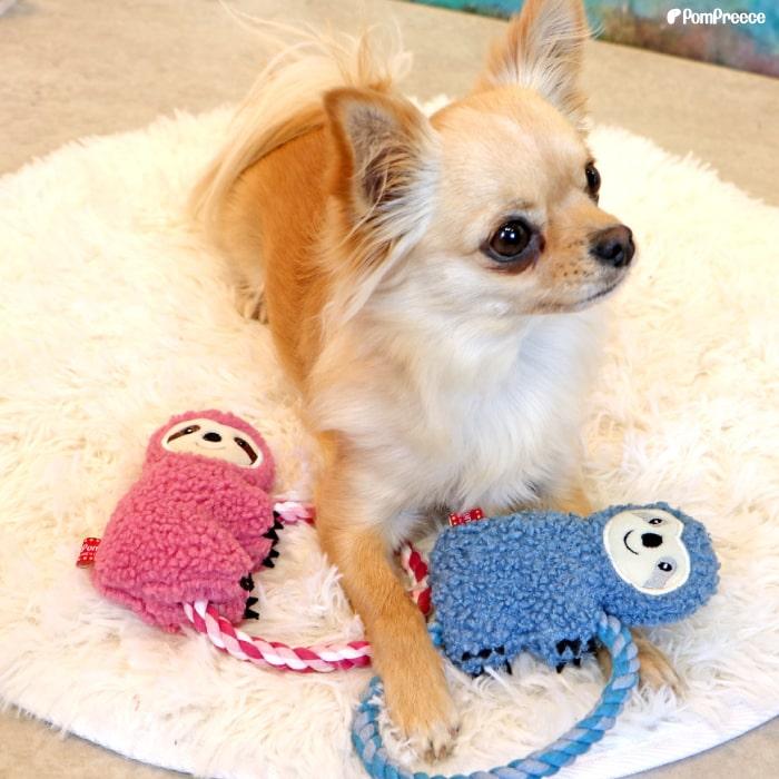 音がなるわんこ 犬用 おもちゃ ラテックス ぶた Lサイズ ゴム スクイーカー 音が