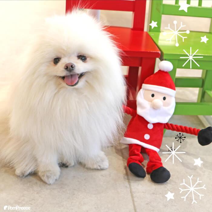犬 猫 おもちゃ デンタルケア ロープ ぬいぐるみ 噛む 歯磨き ストレス解消 音付き 可愛い クリスマス デンタルロープTOY のびのびサンタさん 4728 ポンポリース | PomPreece | 10