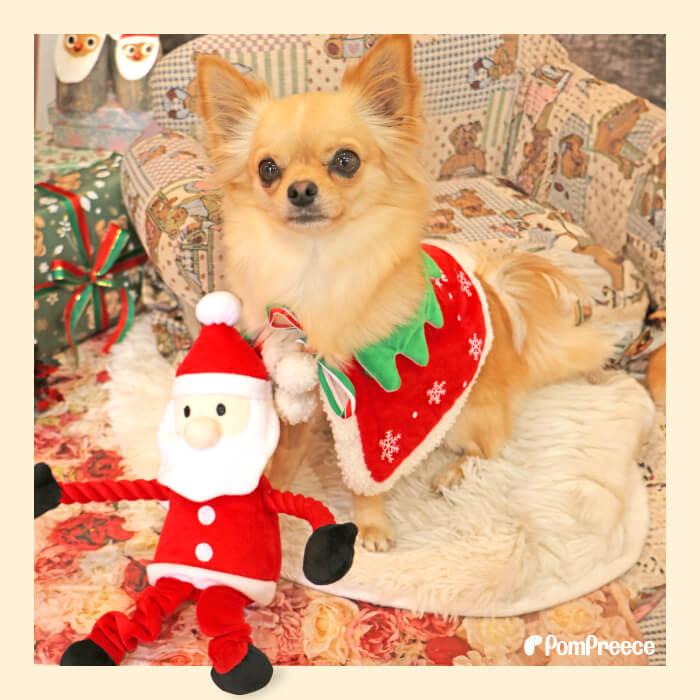 satopi、クリスマスシリーズ(赤サンタ&雪だるま)わんちゃん猫ちゃん用 PomPreece 犬 猫用 クリスマス Christmas Xmas用おもちゃ デンタル