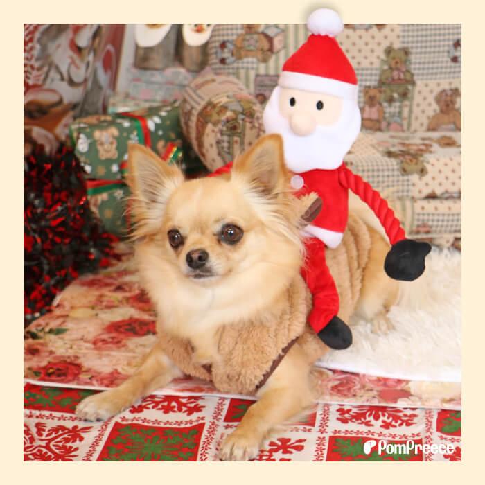 犬 猫 おもちゃ デンタルケア ロープ ぬいぐるみ 噛む 歯磨き ストレス解消 音付き 可愛い クリスマス デンタルロープTOY のびのびサンタさん 4728 ポンポリース | PomPreece | 16