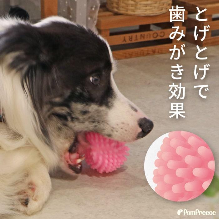 PomPreece（ポンポリース） 犬用 TOY おもちゃ ボール 小型犬 大型犬