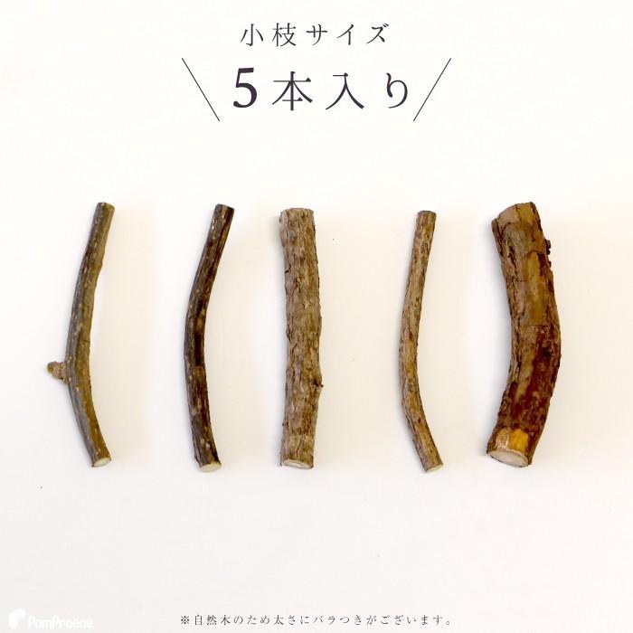 猫 ペット おもちゃ 猫じゃらし またたび マタタビの木 原木 国産またたび　またたびの木（5本入） ポンポリース 4911 | PomPreece | 02