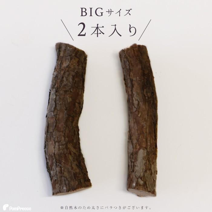 猫 おもちゃ 猫じゃらし またたび マタタビ ストレス解消 国産 日本製 枝 スティック 正規品 【2本入】BIGまたたびの木 ポンポリース 4912 | PomPreece | 02