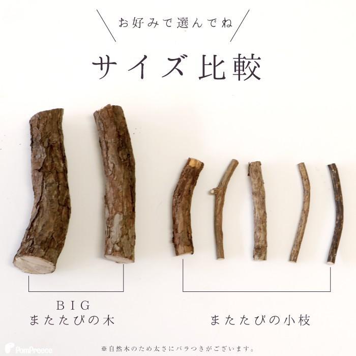 猫 ペット おもちゃ 猫じゃらし またたび マタタビの木 原木 国産またたび ニャンともbigまたたびの木 2本入 ポンポリース 4907 4907 ポンポリース直営yahoo 店 通販 Yahoo ショッピング
