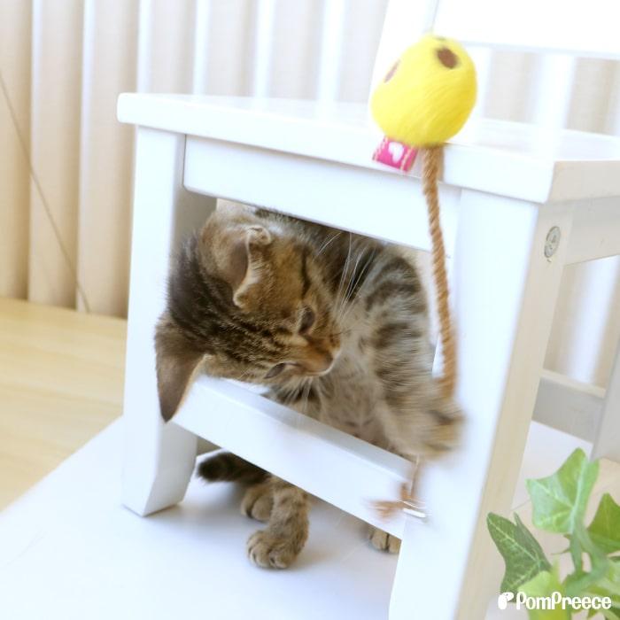 猫 おもちゃ ネズミ マウス またたび 歯みがき ねこじゃらし 運動不足 ストレス解消デンタルネットTOY またたび入りプチマウス ポンポリース | PomPreece | 05