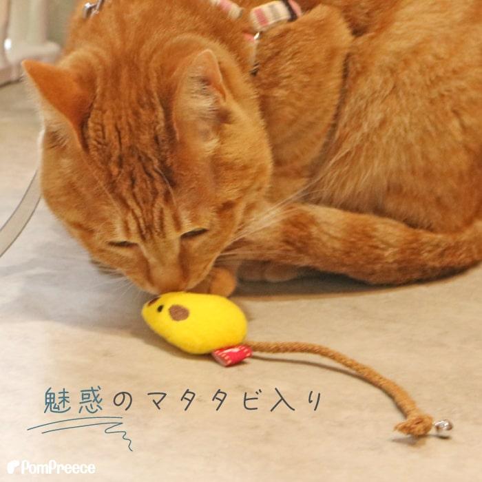 猫 おもちゃ ネズミ マウス またたび 歯みがき ねこじゃらし 運動不足 ストレス解消デンタルネットTOY またたび入りプチマウス ポンポリース | PomPreece | 07