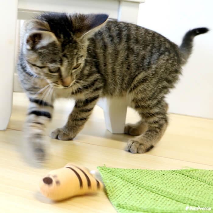 猫のおもちゃ 猫 ペット おもちゃ ぬいぐるみ またたび 猫の手 かわいい おしゃれ 肉球またたび入りTOY ニャンコの手 ポンポリース 4946 | PomPreece | 02