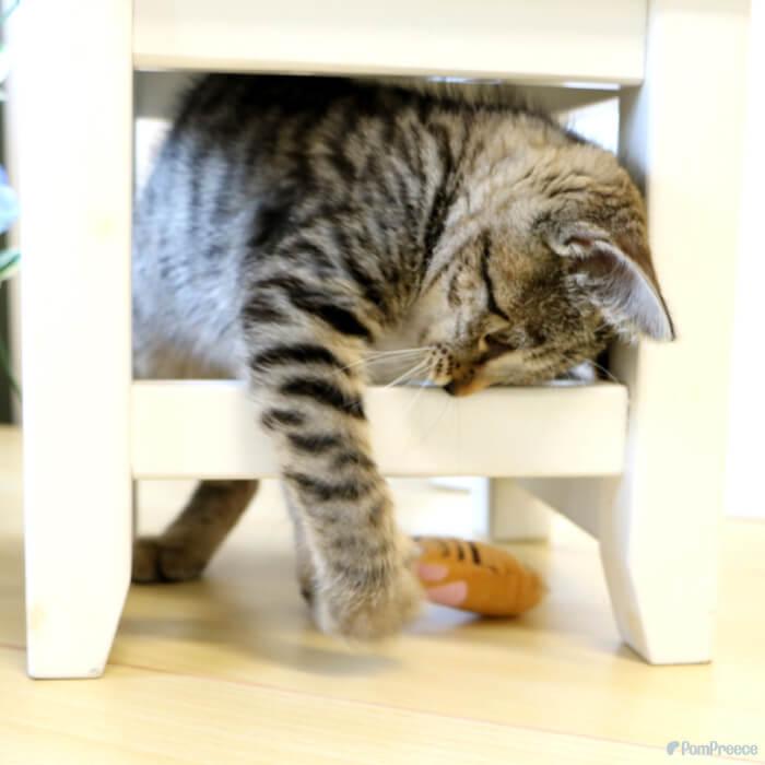 猫のおもちゃ 猫 ペット おもちゃ ぬいぐるみ またたび 猫の手 かわいい おしゃれ 肉球またたび入りTOY ニャンコの手 ポンポリース 4946 | PomPreece | 05