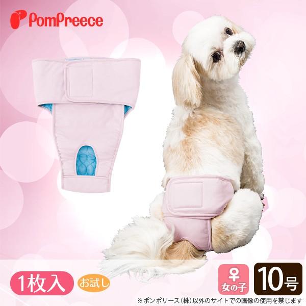 50 Off おためし用1枚入 メス用洗えるシーシーおむつ 10号 ポンポリース 5057 ポンポリース直営yahoo 店 通販 Yahoo ショッピング