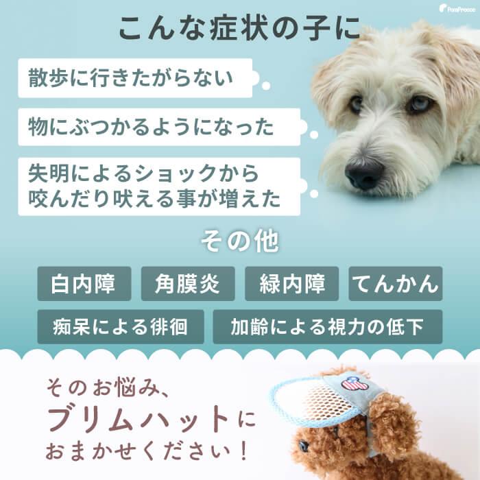 ペット用 アイ フェイスガード 犬 猫 老犬 高齢犬 介護用品 目の不自由 白内障  アイ＆フェイスガード ハット S ポンポリース 5178｜pomp-ya｜05