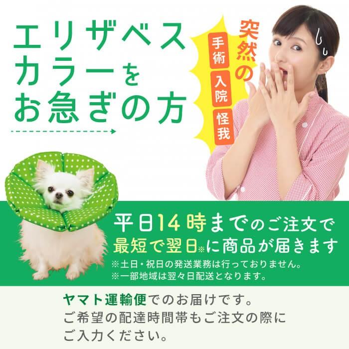 新品未使用 エリザベスカラー 猫用 犬用 ソフト 着脱便利 傷舐め防止 S 楽天市場】エリザベスカラー 猫用 犬用 ソフト やわらか 綿質