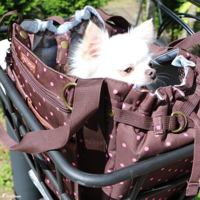 【50%OFF】 犬 猫 キャリーバッグ お散歩バッグ ペットキャリー 飛び出し防止 おでかけ 通院 軽量 自転車 サイクリングバッグ＆キャリー 5563 ※返品交換不可 | PomPreece | 13