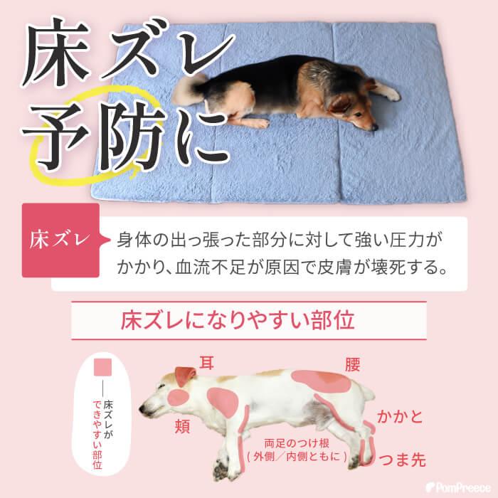 老犬 介護 床ずれ マット 高反発 ベッド 起き上がり 踏ん張り 高反撥