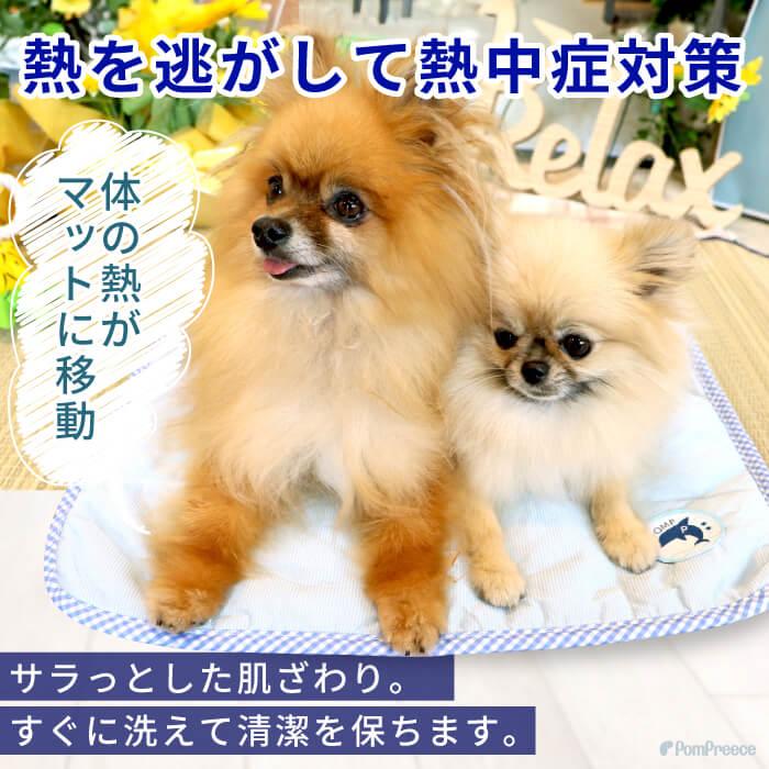 犬 猫 小動物 マット 敷物 中敷き 夏 冷たい 接触冷感 ひんやり クール 予備 ソフト 柔らかい 軽い 冷えひえクールマット M ポンポリース 5619｜pomp-ya｜02