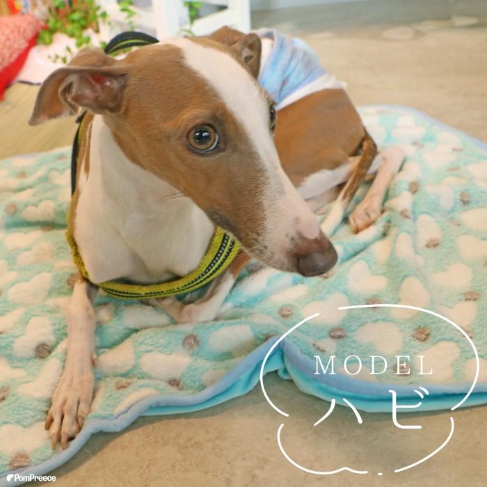 ふんわり 暖かい ブランケット毛布 ブランケット ねこ 犬　マット ペット用品 毛布 ふわふわ ブランケット ポンポリース | PomPreece | 07