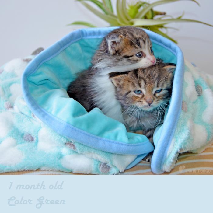 ふんわり 暖かい ブランケット毛布 ブランケット ねこ 犬　マット ペット用品 毛布 ふわふわ ブランケット ポンポリース | PomPreece | 12