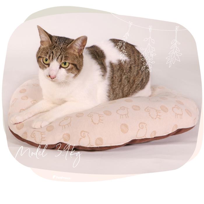 犬ベッド ペットベッド 小型犬 犬 猫 クッション マット ベッド オーガニック ペット用  ミニクッションマット フェアオーガニック【M】 | PomPreece | 04