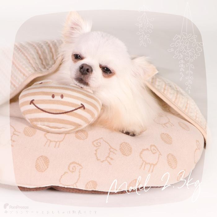 犬ベッド ペットベッド 小型犬 犬 猫 クッション マット ベッド オーガニック ペット用  ミニクッションマット フェアオーガニック【M】 | PomPreece | 06