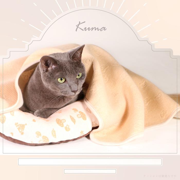 ペットブランケット ペット 犬 猫 ベッド 毛布 タオル ペットマット 防寒 保温 布団 柔らかい 可愛い おしゃれ オーガニック ポンポリース | PomPreece | 08