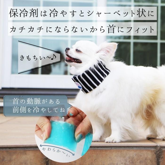 市場 お試し価格 クールバンド 保冷剤5個付き クールネック サイズ豊富 熱中症 クールバンダナ バンダナ柄ペイズリー 市場 お試し価格 クールバンド 保冷剤5個付き クールネック サイズ豊富 熱中症 クールバンダナ バンダナ柄ペイズリー