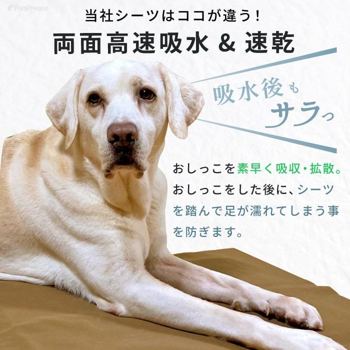 PomPreece（ポンポリース） ペットシーツ 洗える 噛み切れない 裏面