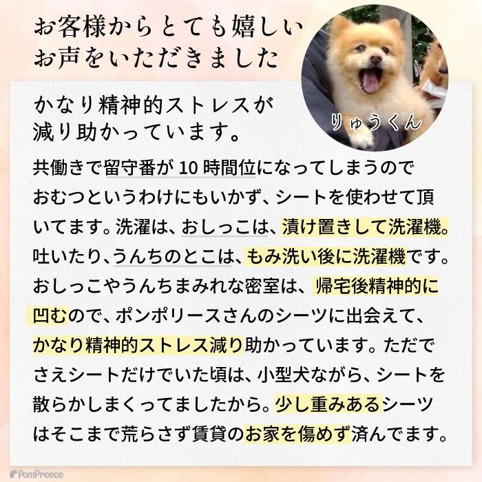 PomPreece（ポンポリース） 洗えるペットシーツ 制菌ペットシーツ