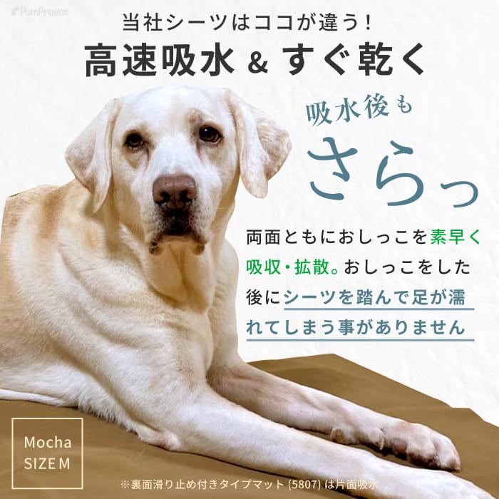 制菌ペットシーツ（5816）　L ×3枚（カラーはお任せ）1枚¥3080 PomPreece（ポンポリース） 7カラーから選べる3枚セット 洗える ペット