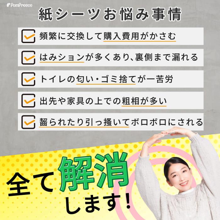 PomPreece（ポンポリース） 7カラーから選べる3枚セット 洗える ペット