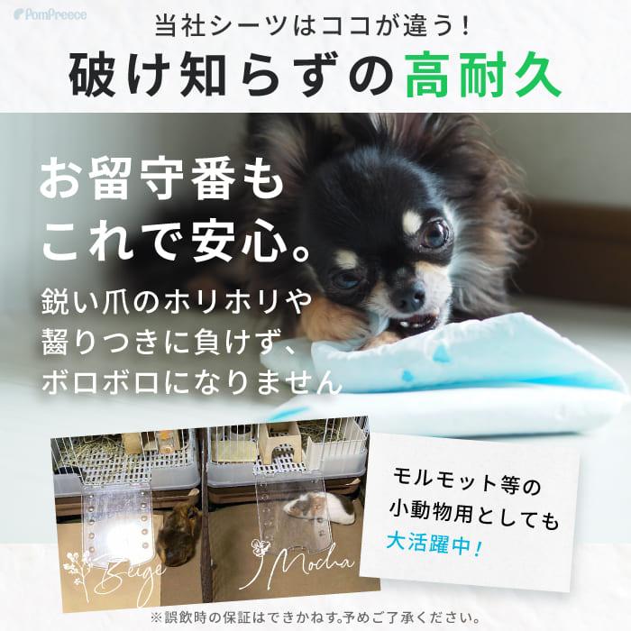 PomPreece（ポンポリース） 7カラーから選べる3枚セット 洗える ペット