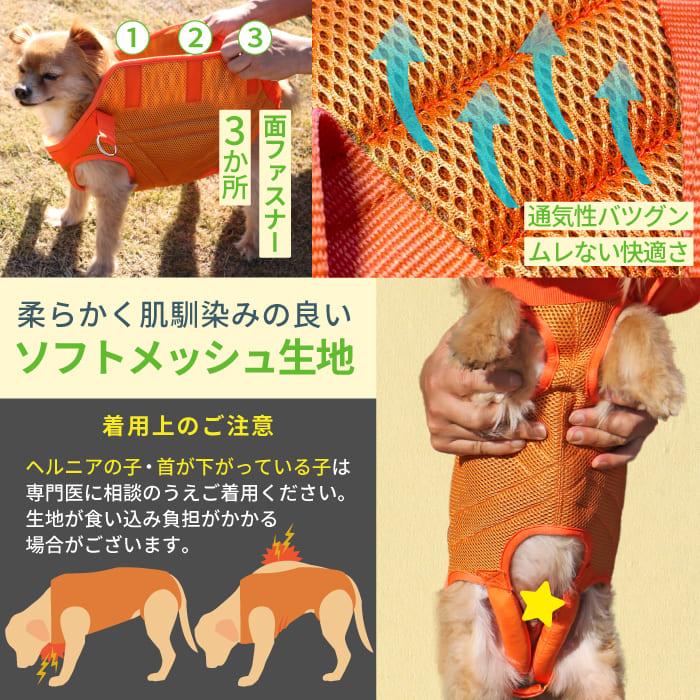 PomPreece（ポンポリース） 犬 介護用 ハーネス 全身 腰 歩行補助 動作